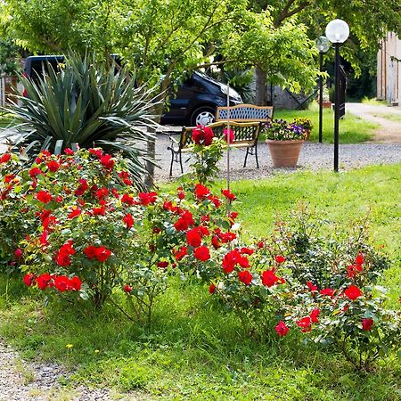 Fattoria Il Casone Hotel Monteriggioni Buitenkant foto